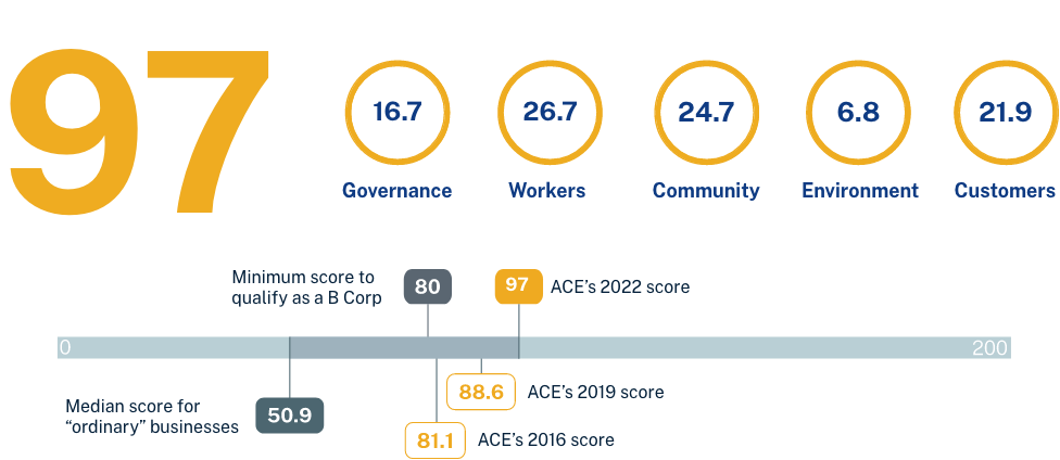 ACE B Corp Impact Score