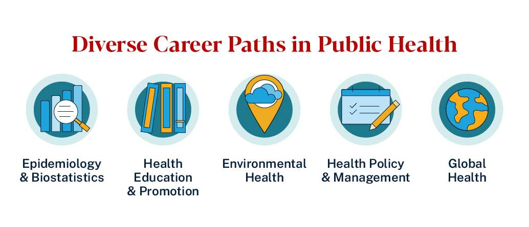graphic of public health career paths