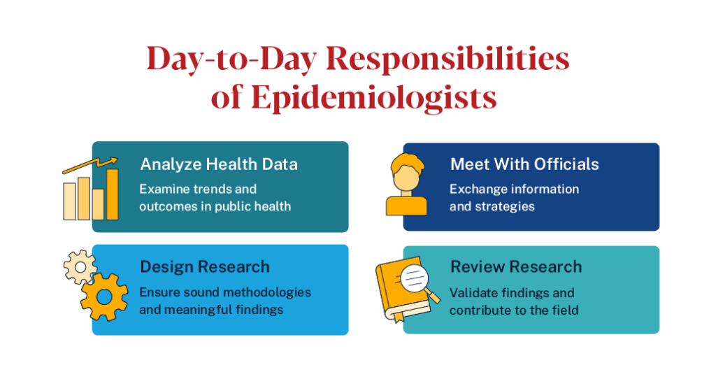 Daily tasks for Epidemiologists include analyzing health data, meeting with officials, reviewing research, and designing new research goals. 